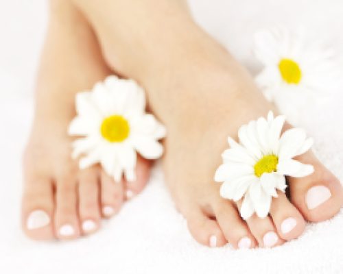 Soft female feet with pedicure and flowers close up